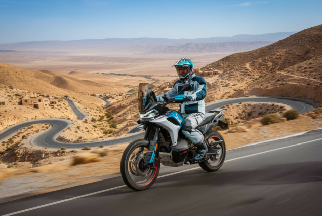 Oasis, Chott, Troglodytes & Dahar